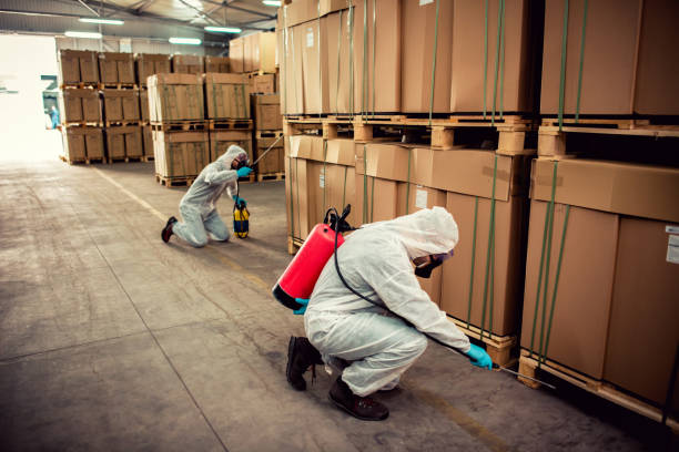 Professional Pest Control in Pascagoula, MS