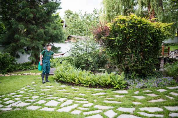 Wasp Removal Services in Pascagoula, MS