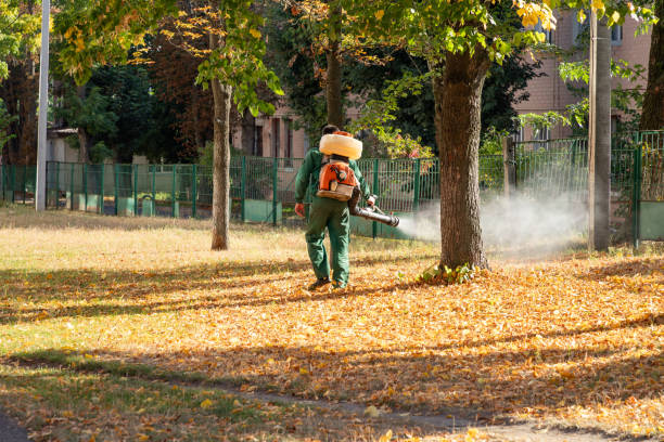 Best Best Pest Control Companies  in Pascagoula, MS