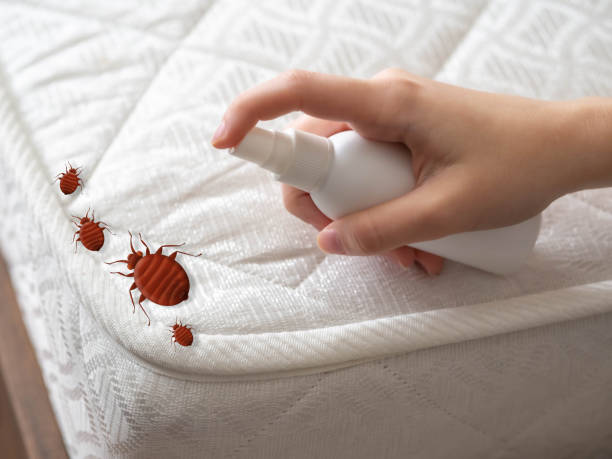 Best Cockroach Control Services  in Pascagoula, MS